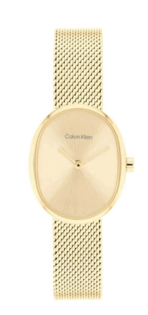 CALVIN KLEIN CK25100174