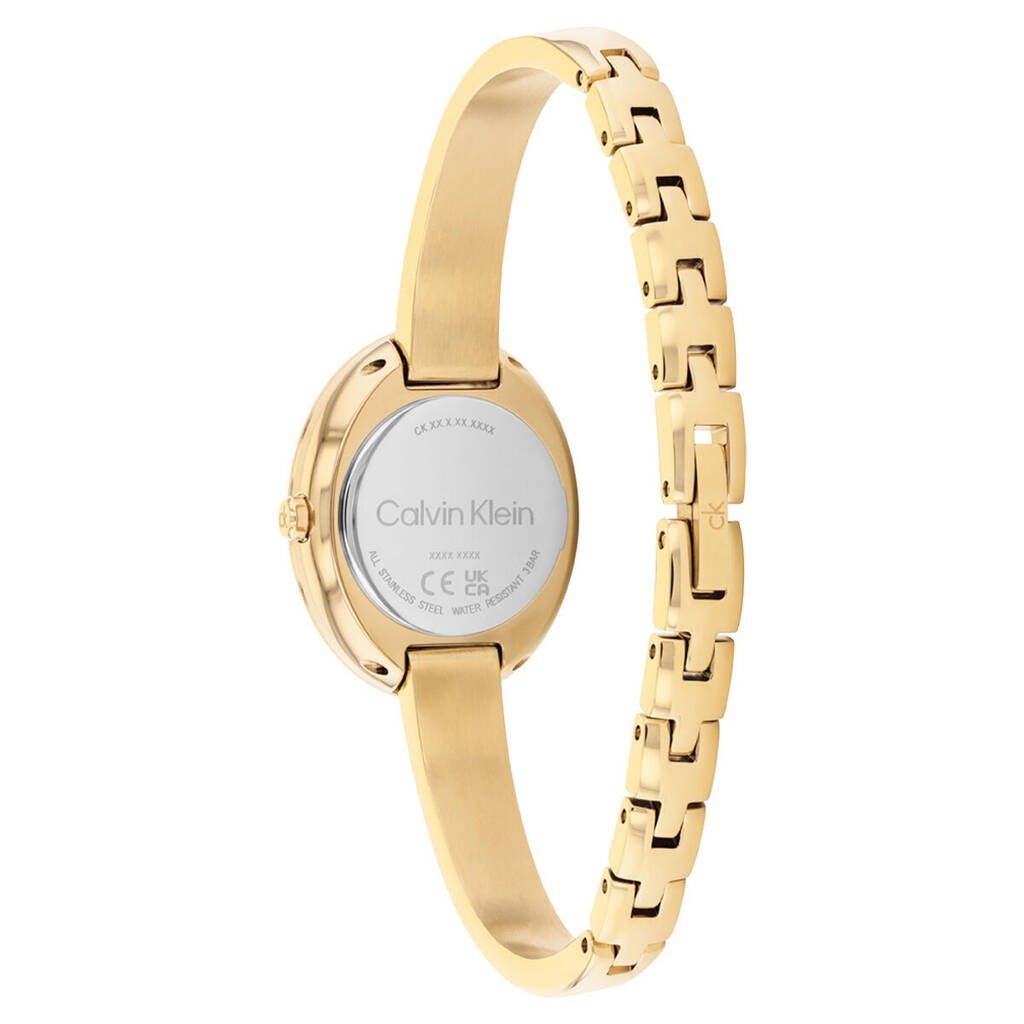 CALVIN KLEIN CK25100203