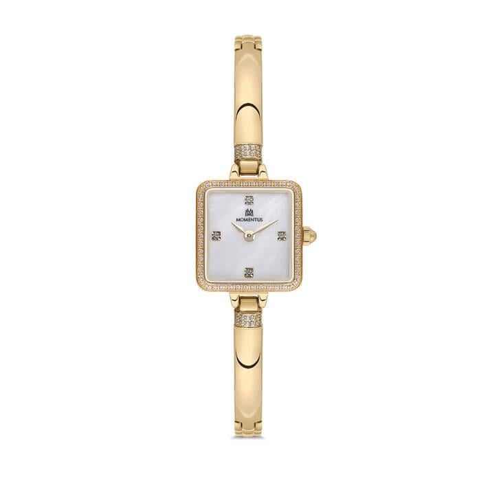 MOMENTUS SW295G-09SGS