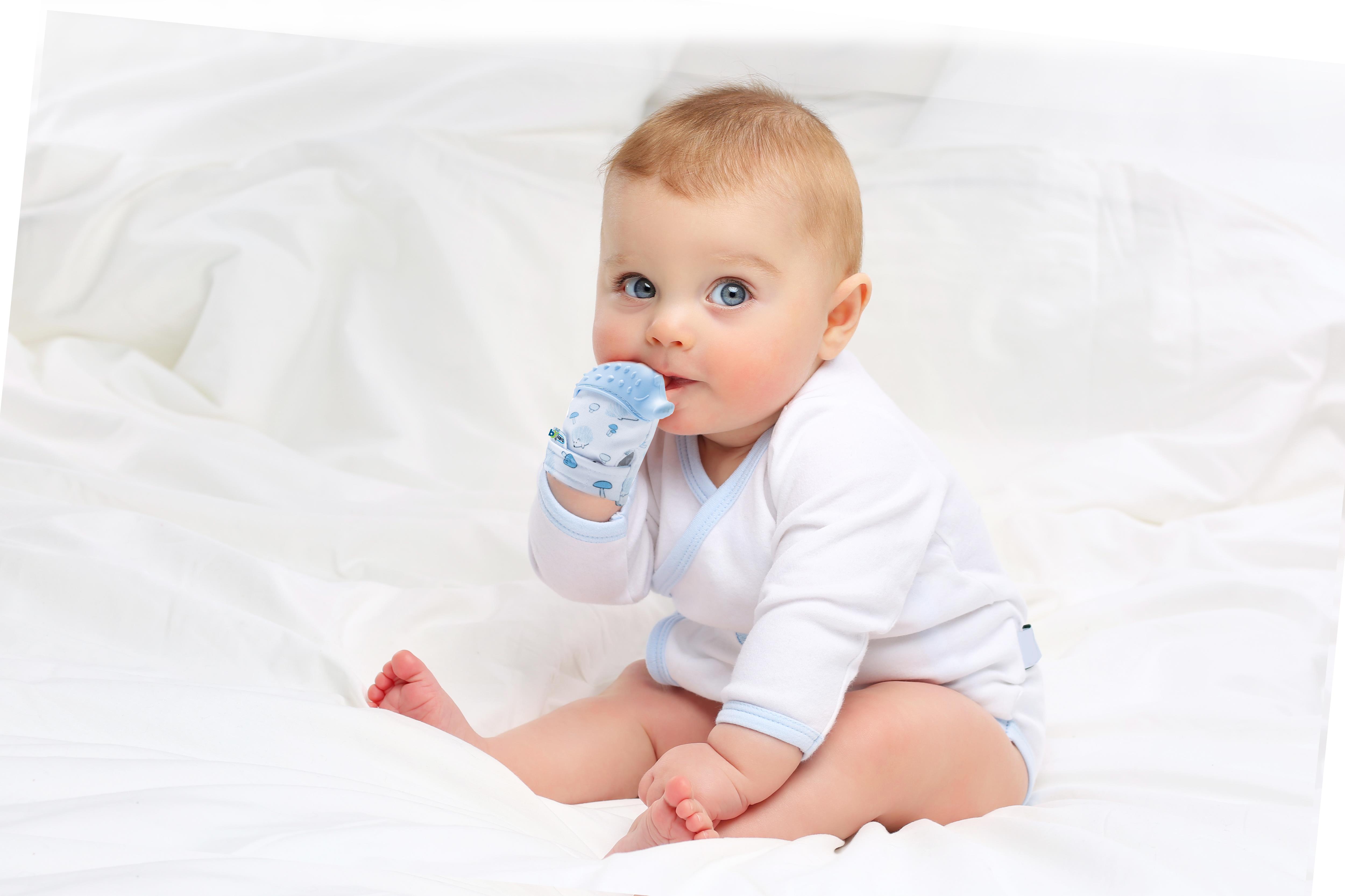 Babyjem Diş Kaşıyıcı Eldiven Kirpi Mavi 612