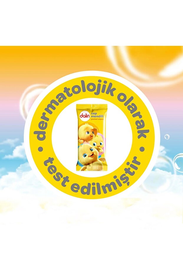 Dalin Klasik Islak Cep Mendil 3x15 Adet