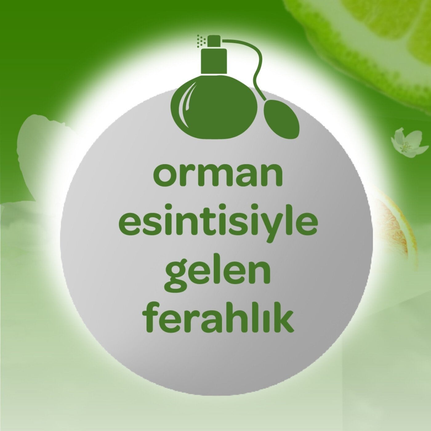 Dalin Kolonya Orman Esintisi 150 ml