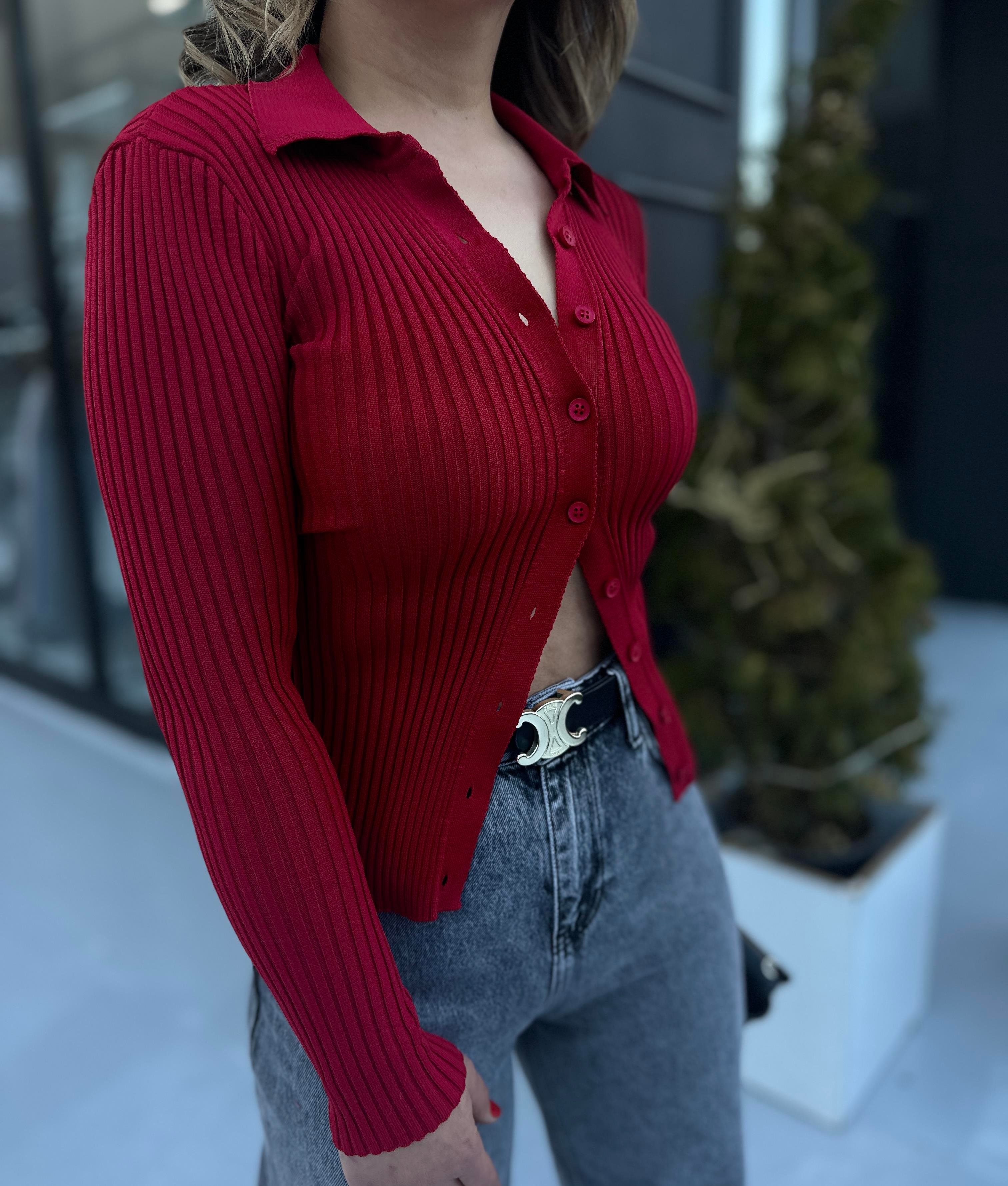 Kırmızı Polo Yaka Çelik Örme Düğmeli Triko Bluz