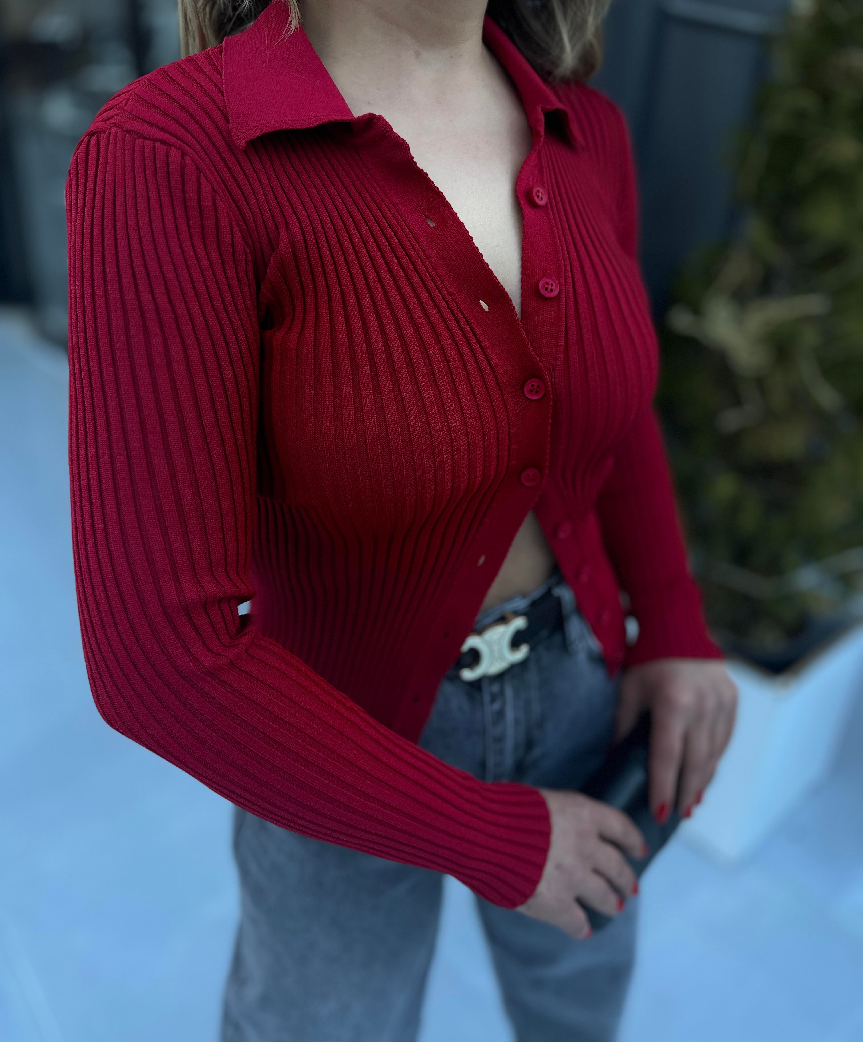 Kırmızı Polo Yaka Çelik Örme Düğmeli Triko Bluz