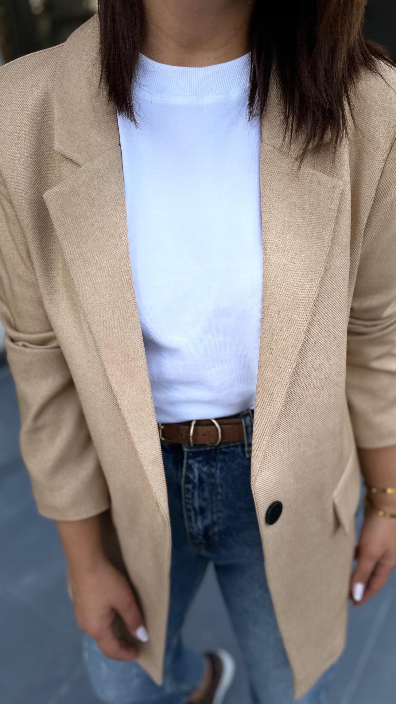 Taş Tek Düğme Yün Efekt Blazer Ceket