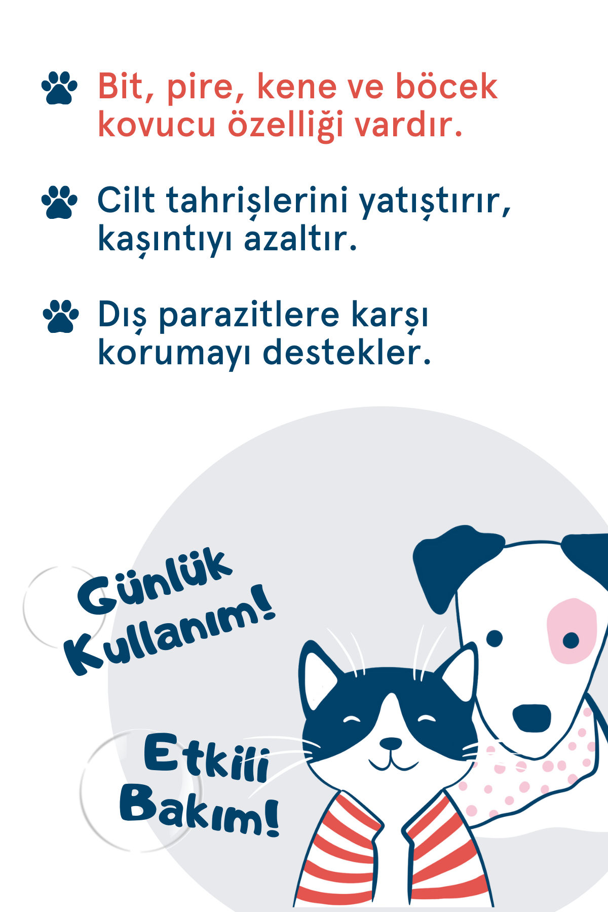 Bit & Pire Kovucu Sprey 