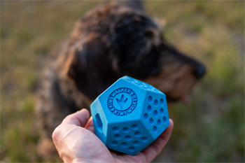 Kiwi Walker Dayanıklı Yüzen Köpek Oyuncağı Dodecaball Midi