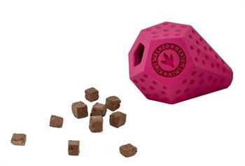 Kiwi Walker Dayanıklı Yüzen Köpek Oyuncağı Diaball Mini