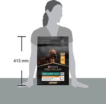 Pro Plan Adult Small Chicken Küçük Irk Yetişkin Köpek Maması 3Kg