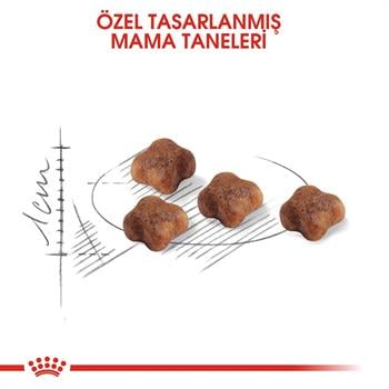 Royal Canin Babycat Yavru Kedi Maması 4Kg