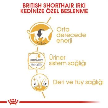 Royal Canin British Shorthair Kedi Konservesi 85 Gr