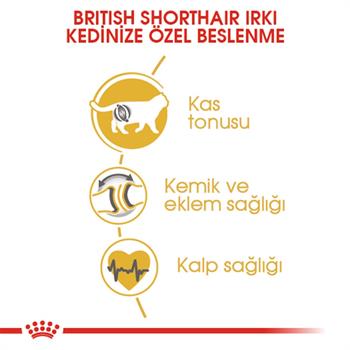Royal Canin British Shorthair Kedi Maması 2 Kg