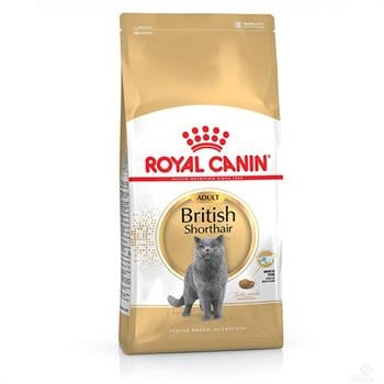 Royal Canin British Shorthair Kedi Maması 10 Kg