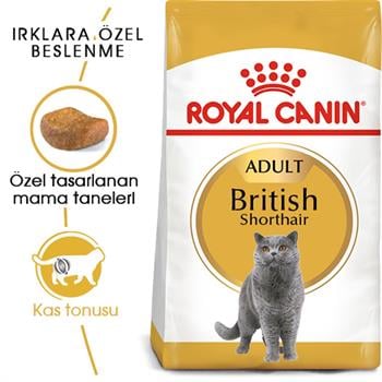 Royal Canin British Shorthair Kedi Maması 2 Kg