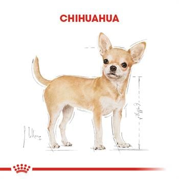 Royal Canin Chihuahua Yetişkin Köpek Maması 1.5 Kg