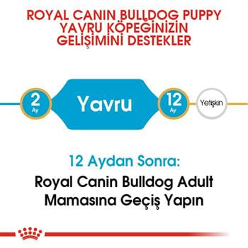 Royal Canin French Bulldog Junior 3 Kg.