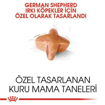 Royal Canin German Shepherd Yetişkin Alman Kurdu Köpek Maması 11 Kg