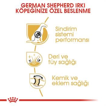 Royal Canin German Shepherd Yetişkin Alman Kurdu Köpek Maması 11 Kg