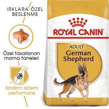 Royal Canin German Shepherd Yetişkin Alman Kurdu Köpek Maması 11 Kg