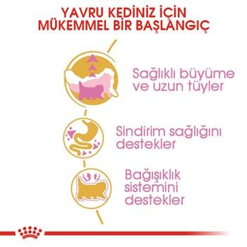 Royal Canin Kitten Persian Kedi Maması 2Kg