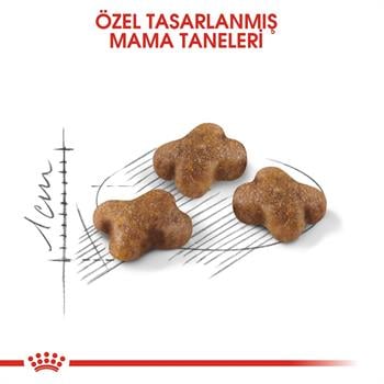 Royal Canin Kitten Yavru Kedi Maması 10Kg