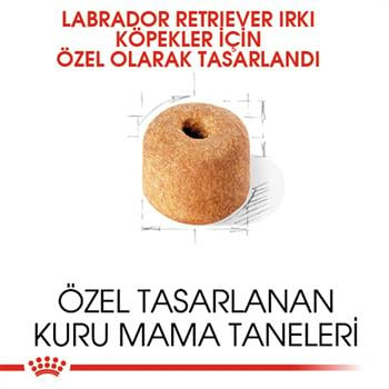 Royal Canin Labrador 12 Kg .