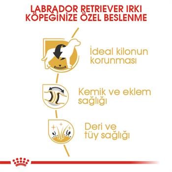 Royal Canin Labrador 12 Kg .
