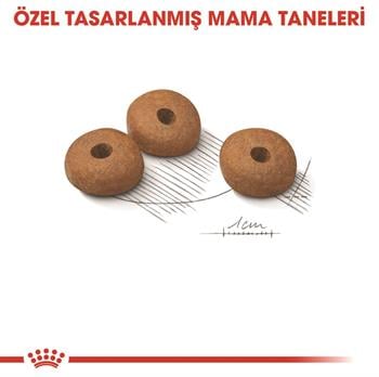 Royal Canin Light Weight Kuru Kedi Maması 1.5 Kg