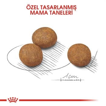 Royal Canin Maxi Puppy Büyük Irk Yavru Köpek Maması 15 Kg