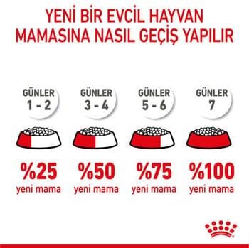 Royal Canin Maxi Starter Büyük Irk Anne ve Yavru Köpek Maması 15 Kg