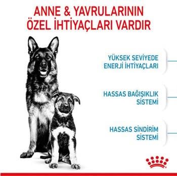 Royal Canin Maxi Starter Büyük Irk Anne ve Yavru Köpek Maması 15 Kg
