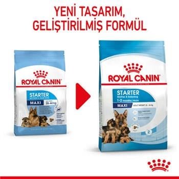 Royal Canin Maxi Starter Büyük Irk Anne ve Yavru Köpek Maması 15 Kg