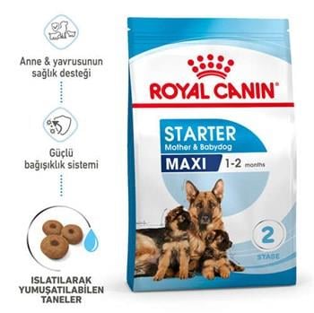 Royal Canin Maxi Starter Büyük Irk Anne ve Yavru Köpek Maması 15 Kg