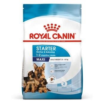 Royal Canin Maxi Starter Büyük Irk Anne ve Yavru Köpek Maması 15 Kg