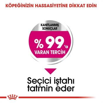 Royal Canin Mini Exigent Küçük Irk Seçici Köpekler İçin Kuru Mama 3 Kg