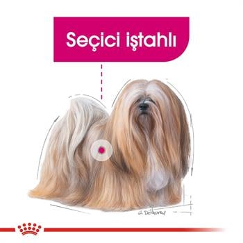 Royal Canin Mini Exigent Küçük Irk Seçici Köpekler İçin Kuru Mama 3 Kg