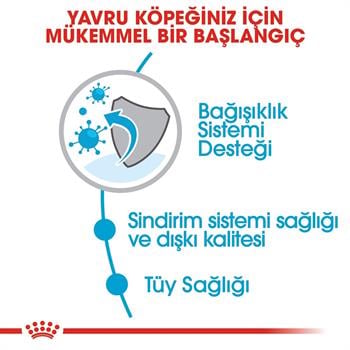 Royal Canin Mini Indoor Puppy 1,5 Kg