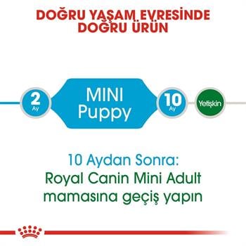 Royal Canin Mini Junior Küçük Irk Yavru Köpek Maması4 Kg.
