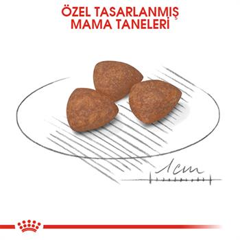 Royal Canin Mini Junior Küçük Irk Yavru Köpek Maması4 Kg.