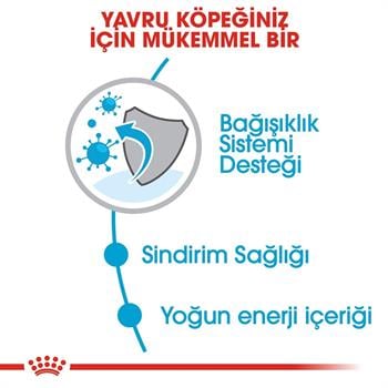 Royal Canin Mini Junior Küçük Irk Yavru Köpek Maması4 Kg.