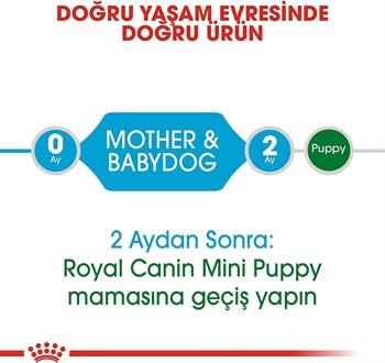 Royal Canin Mini Starter Küçük Irk Anne ve Yavru Köpek Maması 4 Kg