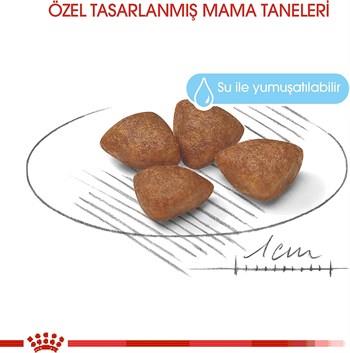 Royal Canin Mini Starter Küçük Irk Anne ve Yavru Köpek Maması 4 Kg