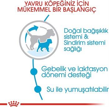 Royal Canin Mini Starter Küçük Irk Anne ve Yavru Köpek Maması 4 Kg