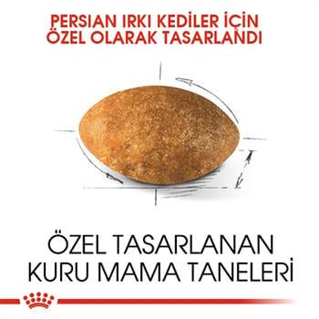 Royal Canin Persian Kedi Maması 4Kg