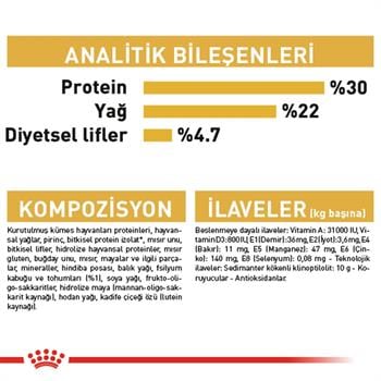 Royal Canin Persian Kedi Maması 4Kg