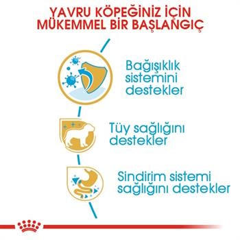 Royal Canin Poodle Junior Yavru Köpek Maması 3 Kg