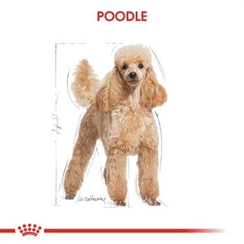 Royal Canin Poodle Pouch 85 Gr