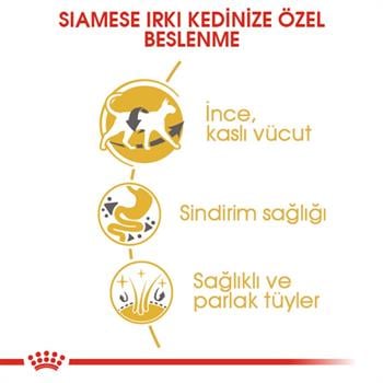 Royal Canin Siamese Kedi Maması 2Kg