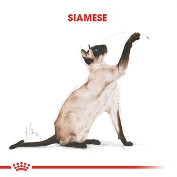 Royal Canin Siamese Kedi Maması 2Kg