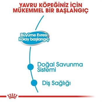 Royal Canin Starter Yavru Köpek Konservesi 195Gr
